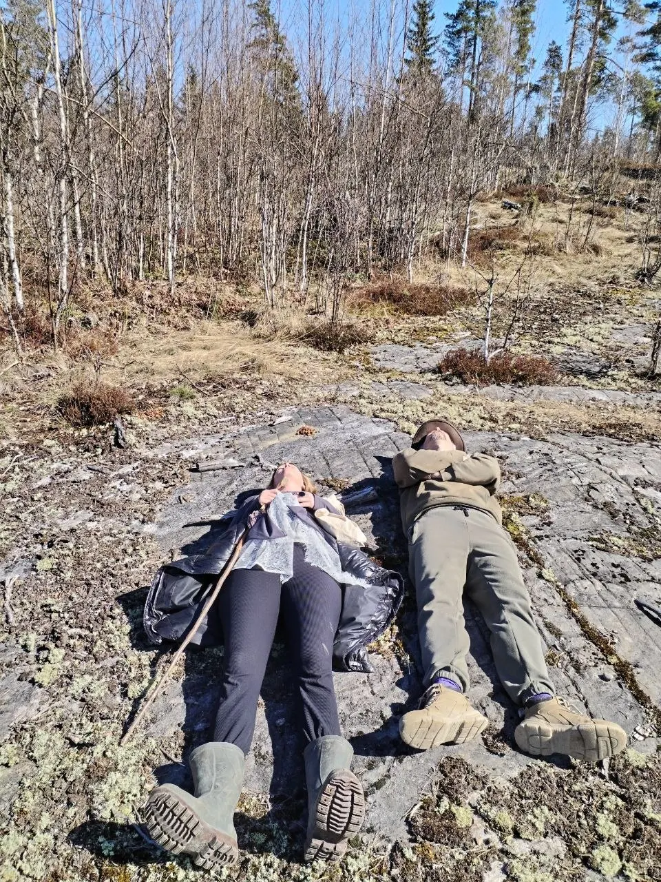 Сеть пассивного режима мозга (DMN): почему лучшие идеи приходят на отдыхе